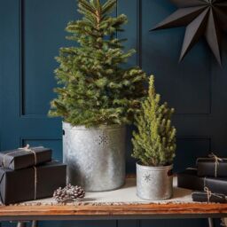 Ivyline Indoor Planter with Star in Galvanised Steel H28Cm W28Cm in Grey - thumbnail 2