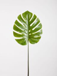 Orsina Monstera Palm Stem - 109cm Green, Large Faux Leaf With Lifelike Texture & Bold Tropical Look, Adds Height in Green - thumbnail 4