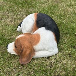 Animal Crackers Realistic Laying Beagle Dog Figurine Home Decoration Or Memorial - thumbnail 5
