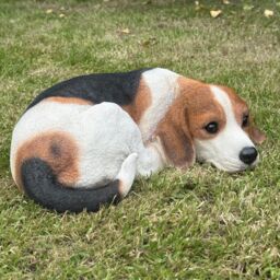 Animal Crackers Realistic Laying Beagle Dog Figurine Home Decoration Or Memorial - thumbnail 4