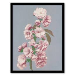 "Artery8 Cherry Blossom Flower Bloom Vintage Japan Framed Wall Art Print in Pink - Size: W12"" x H16""" - thumbnail 1