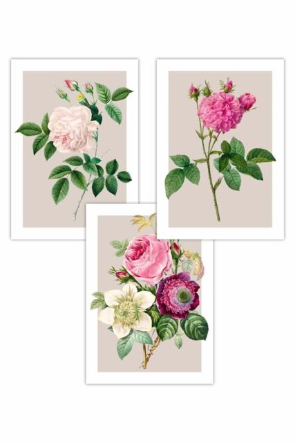ARTZE Set of 3 Vintage Pink & White Roses on Beige Art Posters in Light Beige - Size: W50 cm x H70 cm - image 1