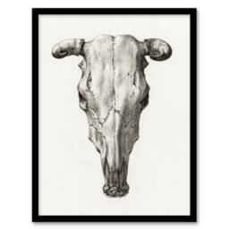 Artery8 Jean Bernard Framed Wall Art Print Skull of a Cow Pencil Drawing in White - Size: A4 - thumbnail 1