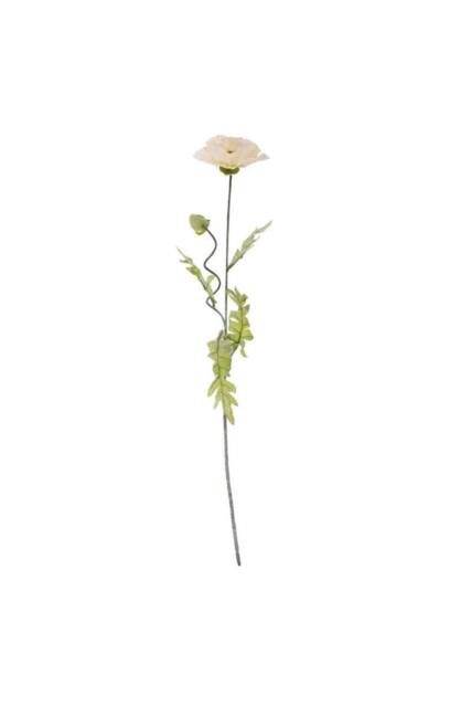 KDMD Large Cream Poppy 3 Pack White - image 1
