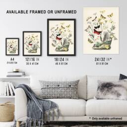 "Artery8 Small Butterflies Caterpillars Kirby Vintage Wall Art Print Poster in White - Size: W24"" x H32""" - thumbnail 3