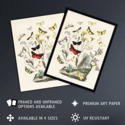 "Artery8 Small Butterflies Caterpillars Kirby Vintage Wall Art Print Poster in White - Size: W24"" x H32""" - thumbnail 2