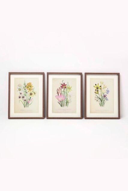 Homescapes Wall Decoration Set of 3 Frames with Picture, Wildflowers - image 1