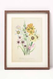 Homescapes Wall Decoration Set of 3 Frames with Picture, Wildflowers - thumbnail 3