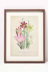 Homescapes Wall Decoration Set of 3 Frames with Picture, Wildflowers - thumbnail 4
