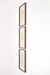 Homescapes Wall Decoration Set of 3 Frames with Picture, Wildflowers - thumbnail 5