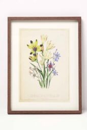 Homescapes Wall Decoration Set of 3 Frames with Picture, Wildflowers - thumbnail 2
