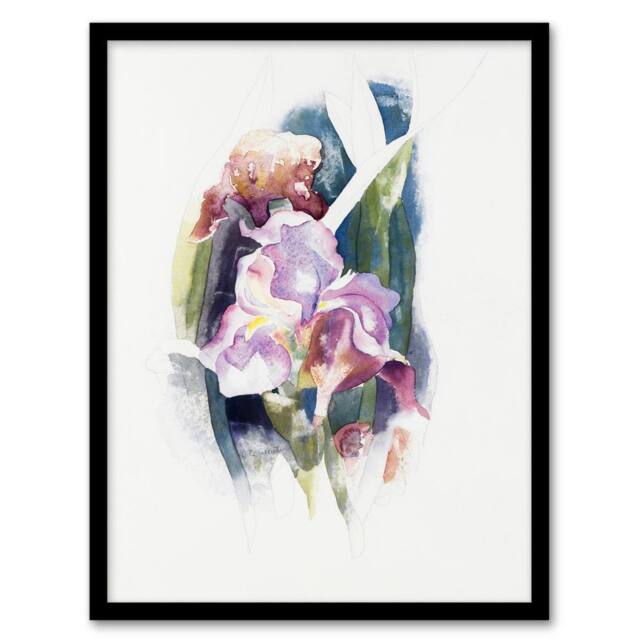 Artery8 Charles Demuth Framed Wall Art Print Purple Iris Flower Watercolour in White - Size: A4 - image 1