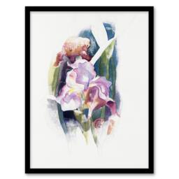 Artery8 Charles Demuth Framed Wall Art Print Purple Iris Flower Watercolour in White - Size: A4 - thumbnail 1
