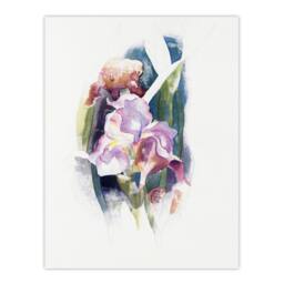 Artery8 Charles Demuth Framed Wall Art Print Purple Iris Flower Watercolour in White - Size: A4 - thumbnail 3