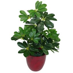 Leaf Artificial Arboricola Plant Umbrella Tree Black Plastic Pot 55cm Dark Plant Botanik in Green - thumbnail 3