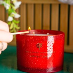 Nicola Spring 350g Wild Fig & Cassis Soy Candles - Pack of 3 - Double Wick Autumn in Red - thumbnail 7