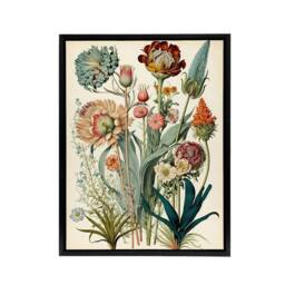 "Artery8 Ernst Haeckel Inspired Wildflowers Framed Canvas Wall Art Print - Size: W18"" x H24""" - thumbnail 1