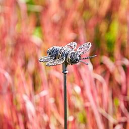 Paper High Metal Bee Garden Stake in Black - thumbnail 3