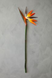 Orsina Bird of Paradise - 92cm, Exotic Faux Flower With Bold Orange & Purple Petals, Adds A Tropical Touch - thumbnail 2
