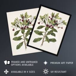 "Artery8 New Zealand Kohuhu & Karo Plant Featon Wall Art Poster Print in Beige - Size: W18"" x H24""" - thumbnail 2