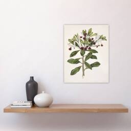 "Artery8 New Zealand Kohuhu & Karo Plant Featon Wall Art Poster Print in Beige - Size: W18"" x H24""" - thumbnail 4