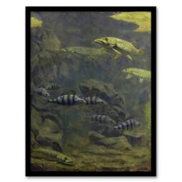 Artery8 Pike Perch Aquarium Vintage Framed Wall Art Print Gerrit Dijsselhof in Green - Size: A4 - thumbnail 1