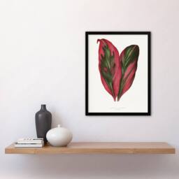 Artery8 AF Lydon B Fawcett Pink Dracaena Terminalis Leaf Framed Wall Art Print in White - Size: A4 - thumbnail 4