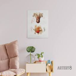 "Artery8 Octopus Marine Life Study Albert I Canvas Wall Art Print in White - Size: W12"" x H16""" - thumbnail 3