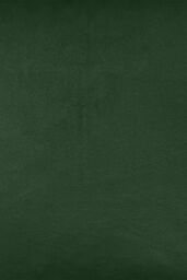 Enhanced Living Pair of Soft Velvet Double Sided Zip Opening Piped Edge Cushion Covers - Cases Only in Green - Size: 55 cm x 55 cm - thumbnail 2