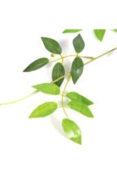 Living and Home 12 Pcs Hanging Artificial Wisteria Vine for Wedding Decoration in Fuchsia - thumbnail 5