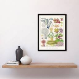 Artery8 Great Barrier Reef Alcyonaria Kent Framed Wall Art Print in White - Size: A4 - thumbnail 4