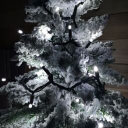 Samuel Alexander 100 LED 8m Premier Christmas Connectable Outdoor Static Lights in Cool White - thumbnail 5