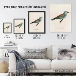 "Artery8 European Roller Bird Von Wright Vintage Wall Art Print Poster in Beige - Size: W12"" x H16""" - thumbnail 3
