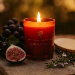 Nicola Spring 130g Wild Fig & Cassis Soy Candles - Pack of 3 - Autumn Spiced Jars in Red - thumbnail 2