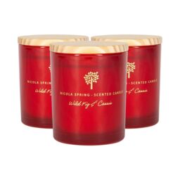 Nicola Spring 130g Wild Fig & Cassis Soy Candles - Pack of 3 - Autumn Spiced Jars in Red