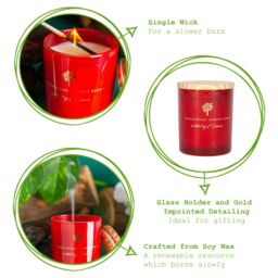 Nicola Spring 130g Wild Fig & Cassis Soy Candles - Pack of 3 - Autumn Spiced Jars in Red - thumbnail 3