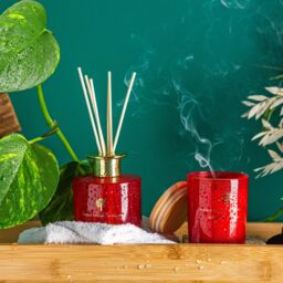 Nicola Spring 130g Wild Fig & Cassis Soy Candles - Pack of 3 - Autumn Spiced Jars in Red - thumbnail 8