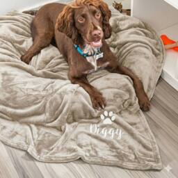 Duncan Stewart Personalised Dog Blanket Throw in Natural