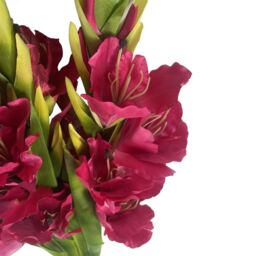 Leaf Artificial Pink Gladioli Stem Flower 115cm Large Realistic Pack of 6 - thumbnail 3