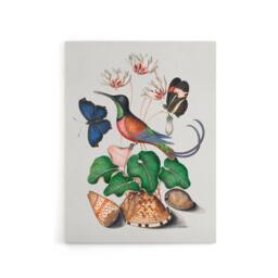 "Artery8 Hummingbird Cyclamen Butterflies Seashells Bolton Canvas Wall Art - Size: W18"" x H24""" - thumbnail 1