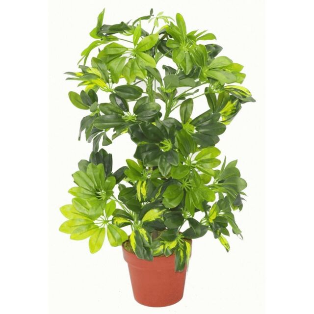 Leaf Artificial Plant Umbrella Tree Gold Capella Deluxe 75cm Schefflera Arboricola Botanik in Green - image 1
