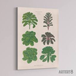 "Artery8 Kales & Brussel Sprouts Ernst Benary Canvas Wall Art Print in White - Size: W18"" x H24""" - thumbnail 2