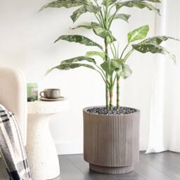 Wyld and Coco 37cm Taupe Fibre Clay Planter - Vertical Rib Finish in Beige - thumbnail 1