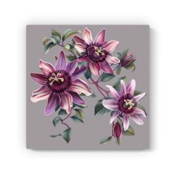 "Warren Reed - Designer Purple Passion Flowers Canvas - Size: W16"" x H16""" - thumbnail 2