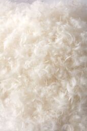 BHS All Natural Duck Feather & Down Pillow Pair in White - Size: Double - thumbnail 5
