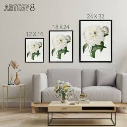 "Artery8 Peony Flower Illustration Redoute Vintage Black Framed Canvas Wall Art in White - Size: W12"" x H16""" - thumbnail 4