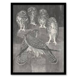"Artery8 Four Owls & Two Kestrels Vintage Framed Wall Art Print van Hoytema in Grey - Size: W12"" x H16""" - thumbnail 1