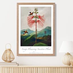 ARTZE Vintage Floral Exhibition - Flowering Plant Framed Print SIZE: A4 with Oak Frame in Red - thumbnail 2