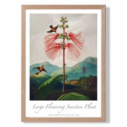 ARTZE Vintage Floral Exhibition - Flowering Plant Framed Print SIZE: A4 with Oak Frame in Red