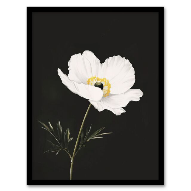 "Artery8 Single White Poppy Anemone Flower Black Floral Framed Wall Art - Size: W12"" x H16""" - image 1